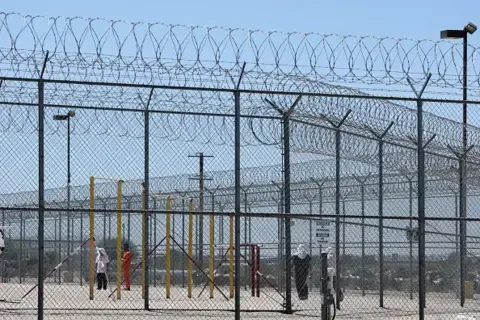 Punjabi Grandmother's Detention by American Immigration Authorities Ignites Public Anger